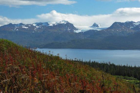 Paisagem colorida em dia de sol em Homer, na Península do Kenai, no sul do Alaska